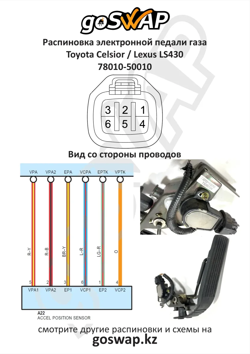 Распиновка педали газа · Toyota Celsior / Lexus LS430 — лист 1 из 1
