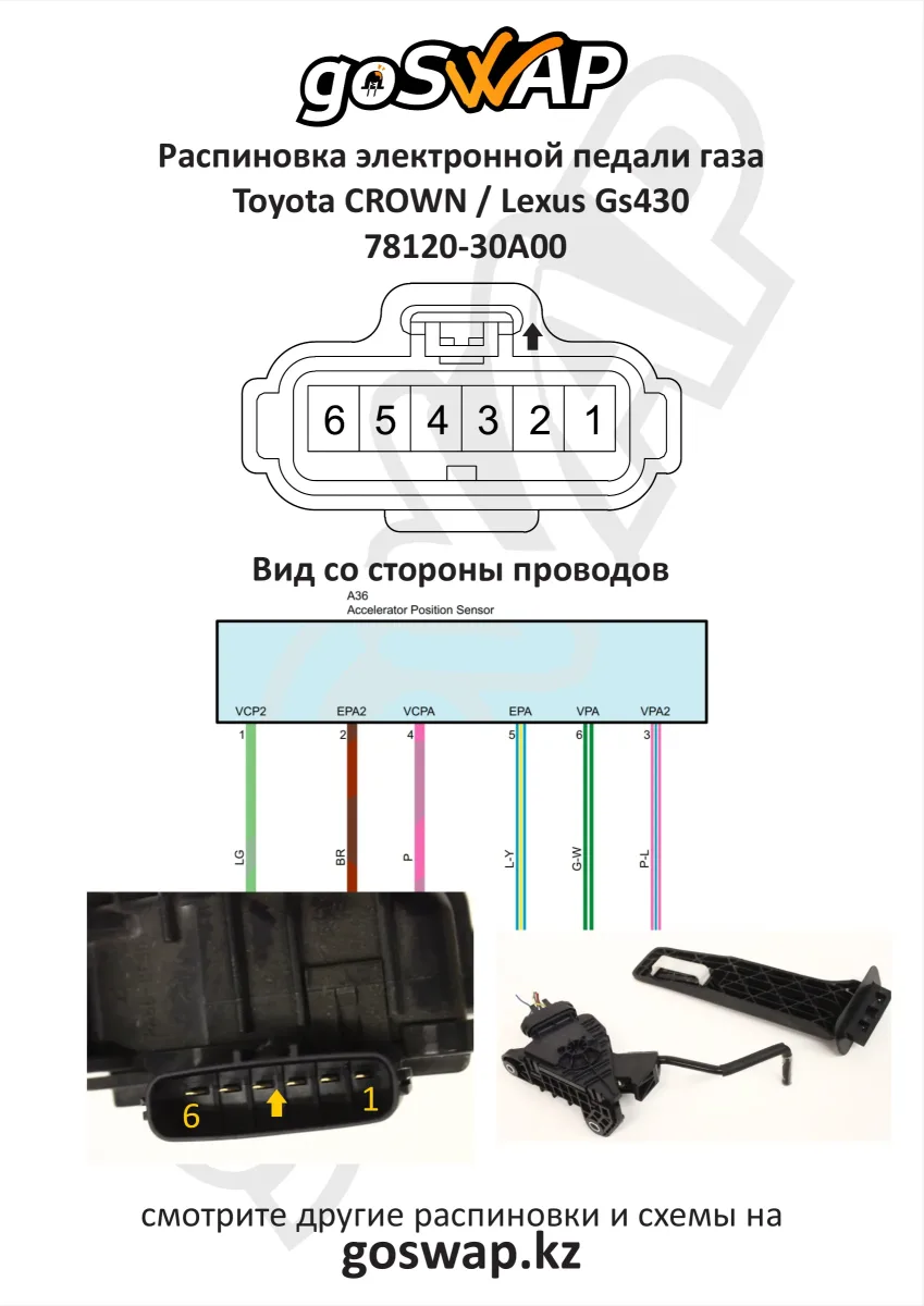 Accelerator pedal pinout · Toyota Crown Majesta / Lexus GS430 — page 1 of 1